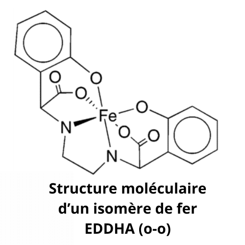 Fer EDDHA 6% - 4,8% O-O - UAB – Image 4