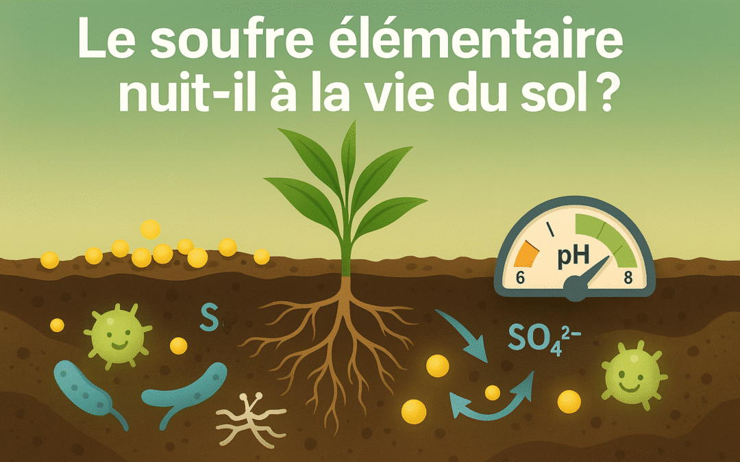 Le soufre élémentaire nuit-il à la vie du sol ?