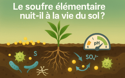 Le soufre élémentaire nuit-il à la vie du sol ?