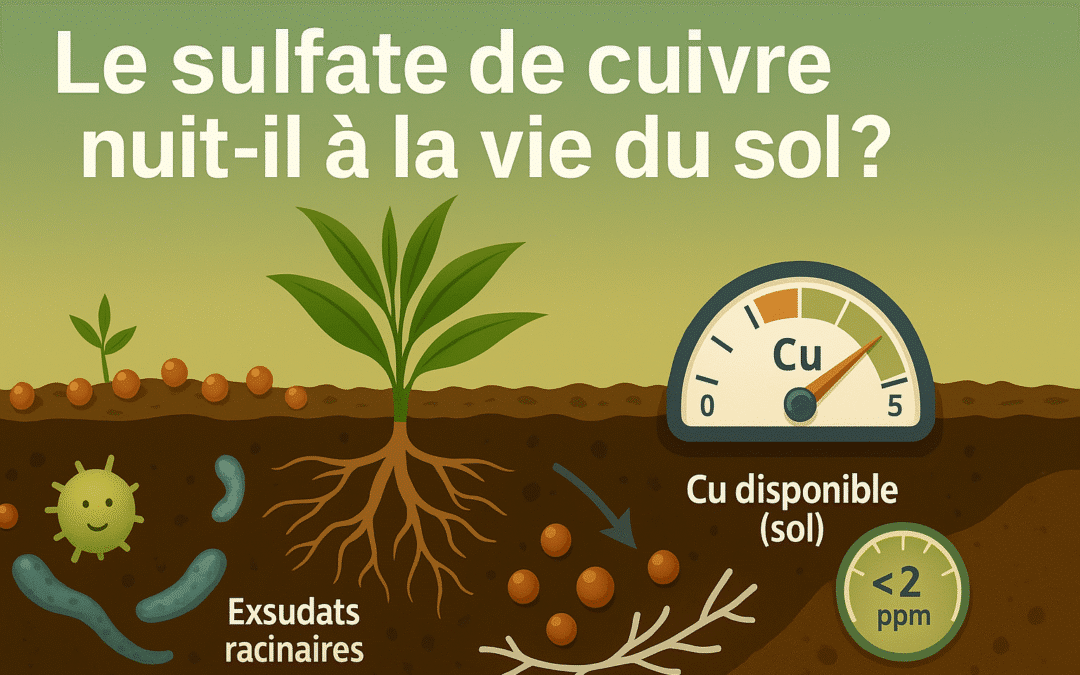 Le sulfate de cuivre nuit-il à la vie du sol ?