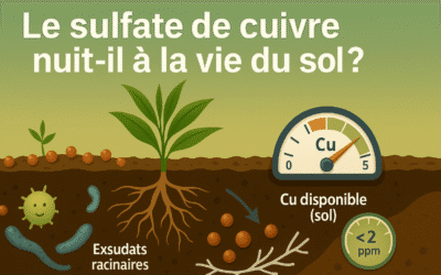 Le sulfate de cuivre nuit-il à la vie du sol ?