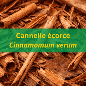 Huile essentielle de cannelle écorce BIO