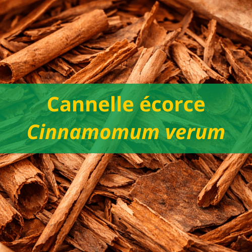 Huile essentielle de cannelle écorce BIO