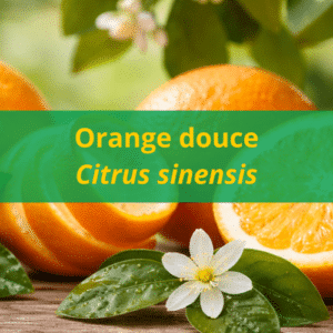 Huile essentielle d'orange douce BIO