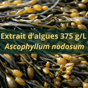 Extrait d'algue Ascophyllum nodosum 375gr/L UAB