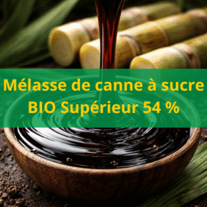 Mélasse de canne à sucre BIO