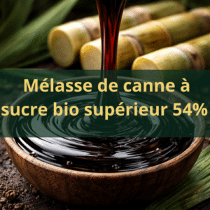 Mélasse de canne à sucre BIO