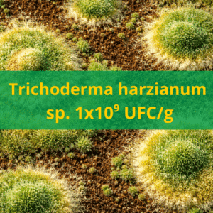 Trichoderma
