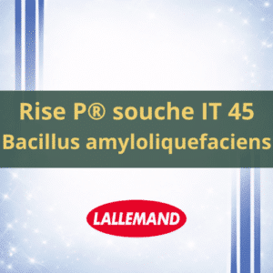 RISE P – Inoculant Racinaire Bacillus amyloliquefaciens IT45