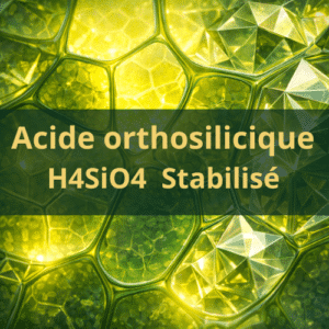 acide orthosilicique