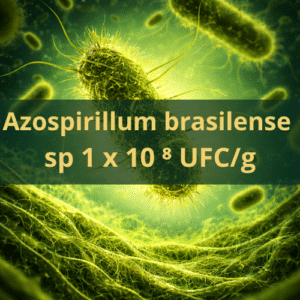 Azospirillum brasilense (1×10⁸ UFC/g)