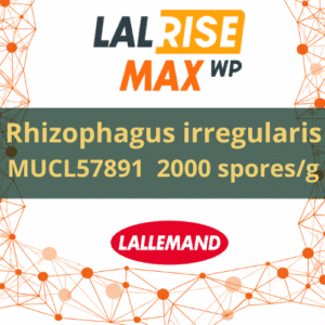 LALRISE® MAX WP : mycorhizes Rhizophagus irregularis (2000 spores/g)