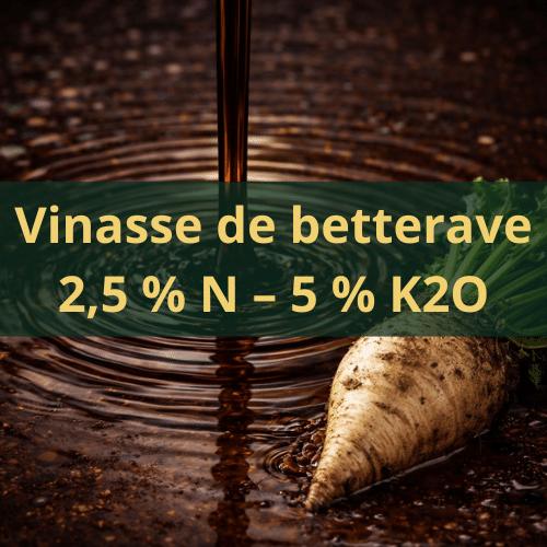 Vinasse de betterave d’origine végétale UAB