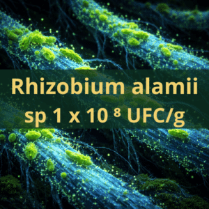 Rhizobium alamii sp. 1x10^8 UFC/g